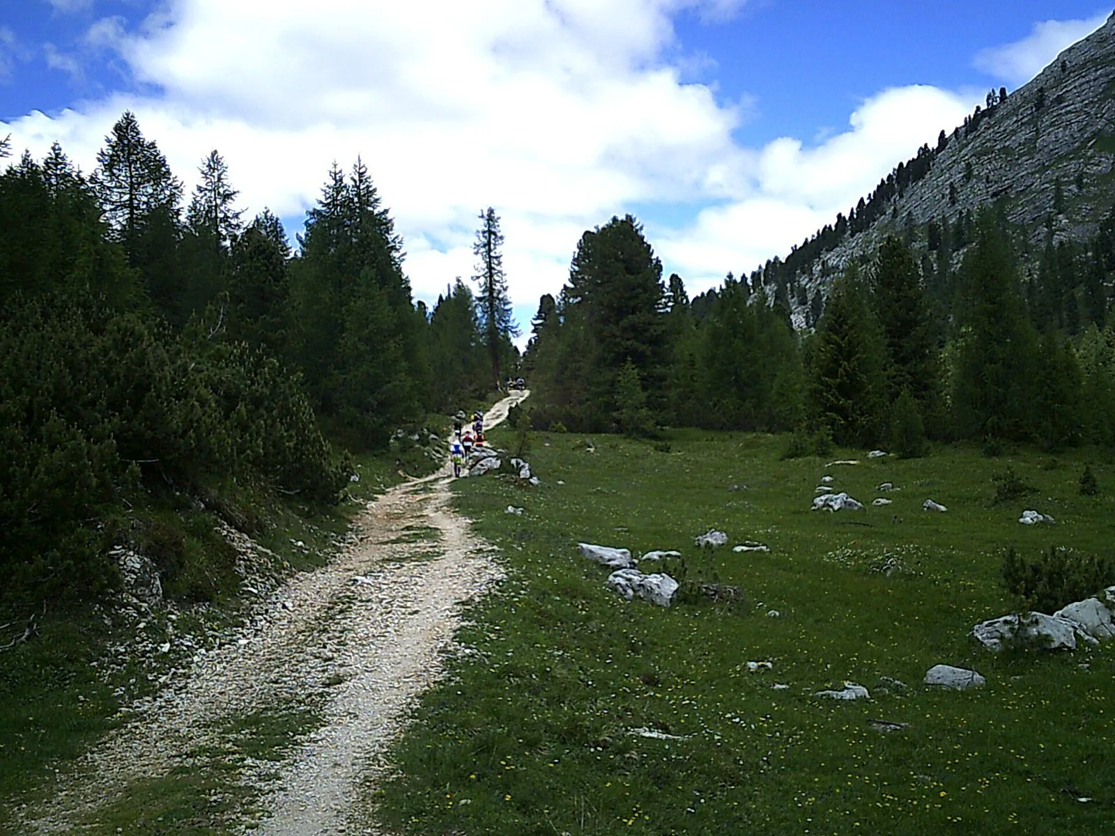 Sentiero sterrato tra pini e prati verso la forcella di Lerosa, con corridori lontani durante il Lavaredo Ultra Trail